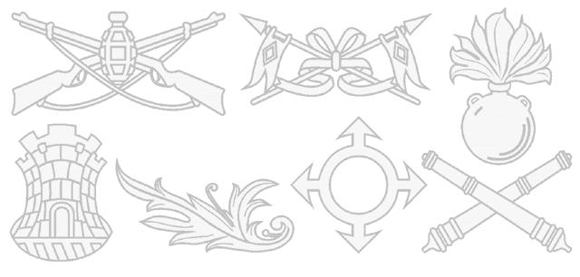 1º Os distintivos bordados devem ser usados na composição das insígnias bordadas, abaixo das divisas de Sargentos, Cabos e Taifeiros, exceto nos uniformes 3º D1, 3º D2 e 3º D3.