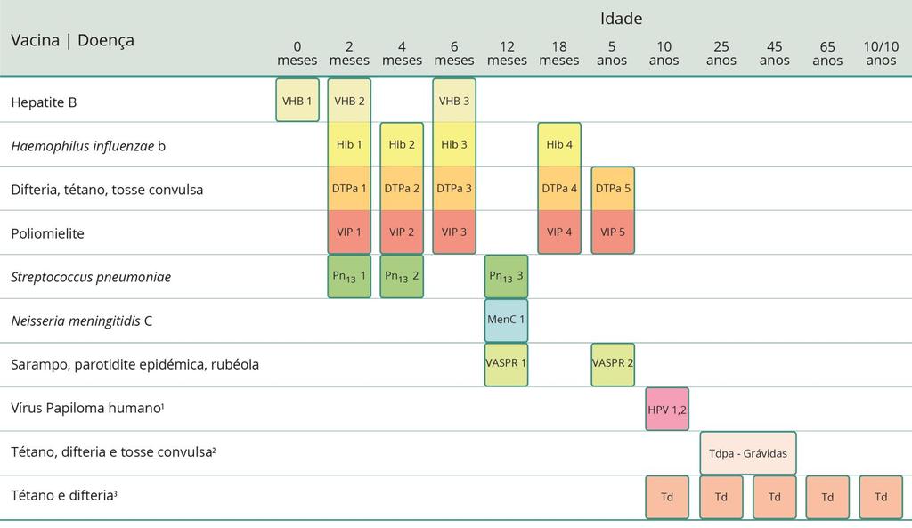 Esquema recomendado 1. Aplicável apenas a raparigas, com esquema 0, 6 meses 2. Aplicável apenas a mulheres grávidas. Uma dose em cada gravidez 3.