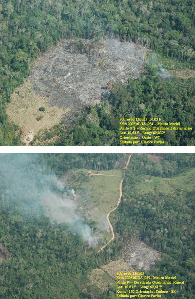 Figura 6: Fotos aéreas de áreas desmatadas e queimadas na região da