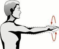AQUECIMENTO ROTAÇÃO DE ANTEBRAÇO LEVANTE OS BRAÇOS ESTIRADOS, COM AS PALMAS DAS MÃOS VOLTADAS PARA CIMA, ATÉ A ALTURA DOS OMBROS.