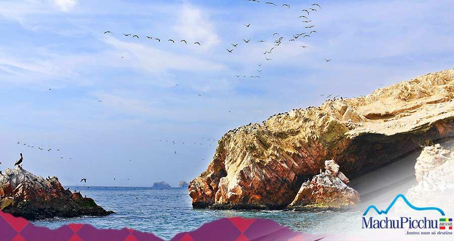 Pernoite: Paracas 4 Dia - Ilhas Ballestras e Reserva Paracas - Pela manhã, conheceremos com uma lancha rápida as Ilhas Ballestas: um berço natural de golfinhos, lobos marinhos, pinguins, pelicanos e