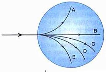 Um feixe de partículas constituído por elétrons, pósitrons (elétrons positivos), prótons, nêutrons e dêuterons (partícula composta por 1 próton e 1 nêutron), com a mesma velocidade, penetra na câmara