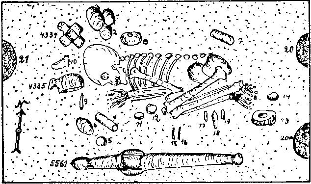 86 berbigão (Anomalocardia brasiliana) e a que se encontrava perto do crânio continha numerosos restos de peixe de tamanho reduzido.