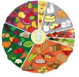 Para manter uma alimentação equilibrada é importante responder a. O que comer? Quando comer? Onde comer? Quanto comer? Como preparar?
