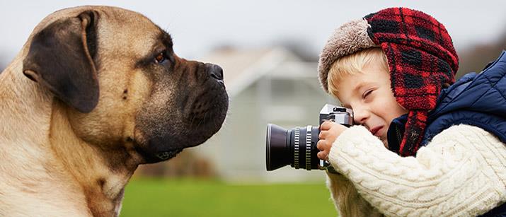 Luz, câmera, ação! Embora nenhum dono tenha dúvida disso, nem sempre os animais entendem o que falamos ou desejamos.