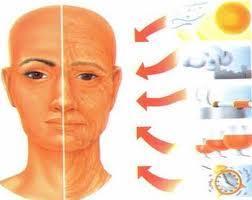 DICAS IMPORTANTES Beber 2 litros de água por dia; Usar filtro solar diariamente; Dormir sempre com o rosto limpo; Fazer um