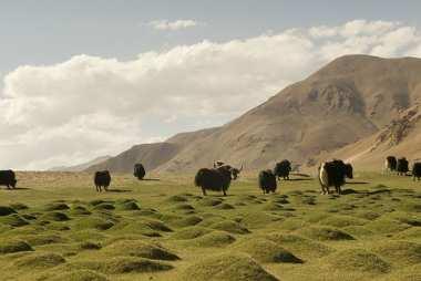 A montanha é uma grande elevação da superfície terrestre. Geralmente apresentam encostas bem inclinadas. Muitas montanhas têm altitudes tão elevadas que seus topos permanecem cobertos de neve.