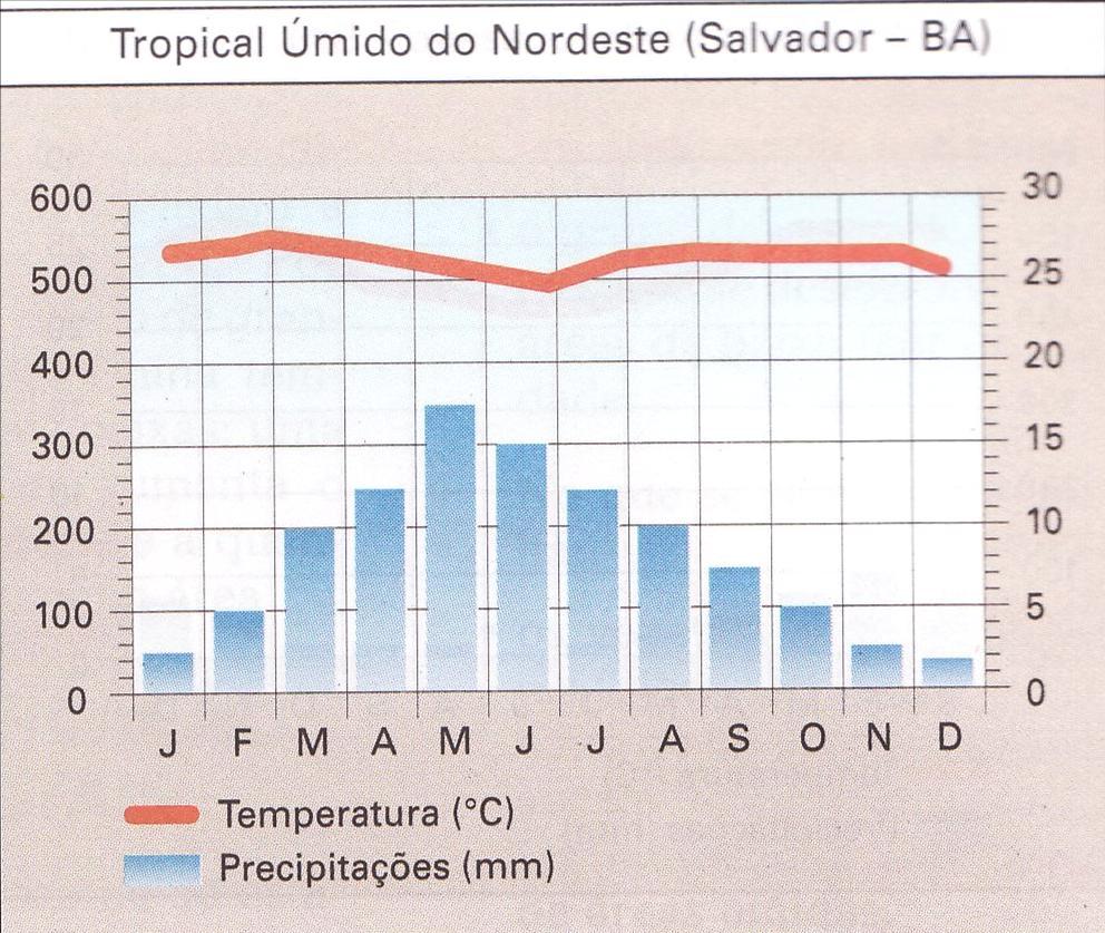 Clima Brasil Ocorre no litoral da Região Nordeste, sob a ação da mta, bastante quente, úmido e chuvoso