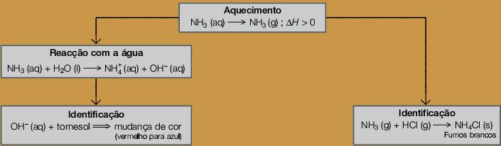 Fase pré-laboratorial (questões) Pretende-se realizar uma investigação laboratorial, utilizando produtos comerciais, que permita responder às seguintes questões: Existirá mesmo azoto amoniacal em