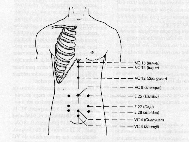 31 Vc8 (Shenque) (Figura 3.4) - segundo Yamamura localiza-se no centro do abdome.