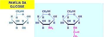 Derivados de hexoses Simples: glicose, galactose e manose;