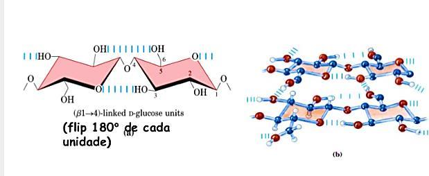 Celulose