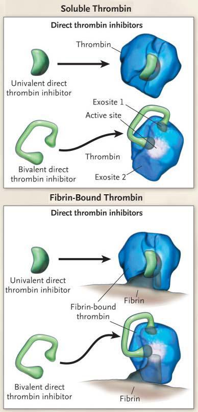 do fibrinogénio em fibrina, levando à formação do trombo. [28, 29] (Figura 1). Figura 1: Cascata da coagulação [Stephan H.
