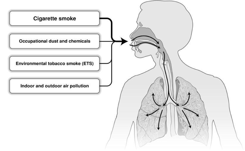 Factores de risco dadpoc Fumo de Tabaco Poeiras e químicos