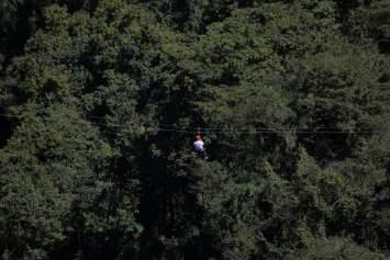 Para completar o passeio, um trekking pela Mata Atlântica e um banho na Cachoeira Cristal.