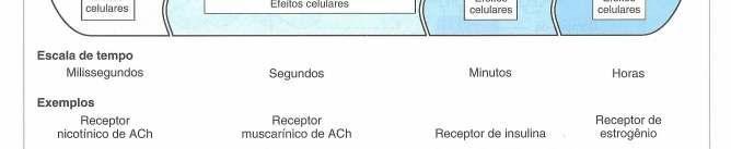 molecular e