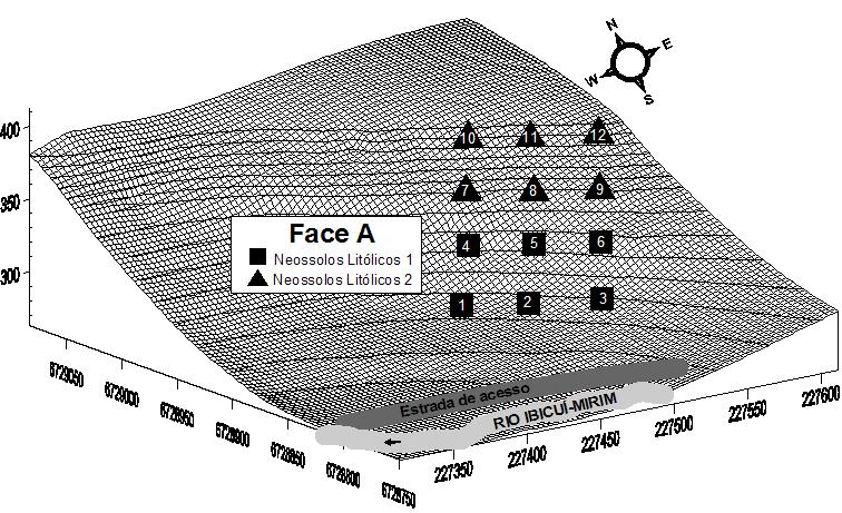 Figura 3. Localização das parcelas da face A (Sudoeste) distribuídas no gradiente topográfico na RBIM de São Martinho da Serra, RS (Scipioni, 2008). Figura 4.