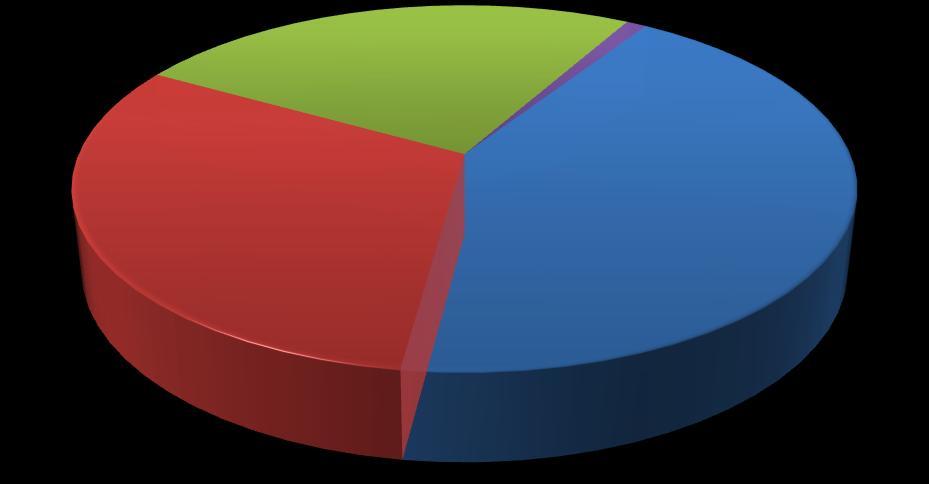 Mercado de Fraldas - Global Share Fraldas Infantis nos EUA e Canadá - 2012 KC 31% Outros