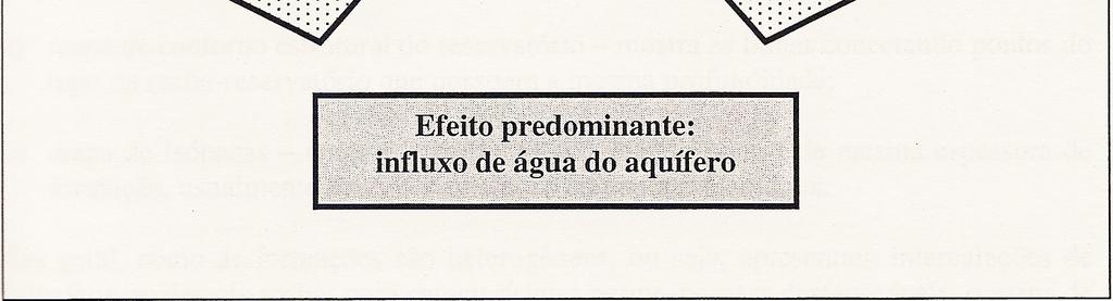 Esse efeito de compactação provoca o deslocamento dos fluidos do reservatório em direção aos poços produtores.