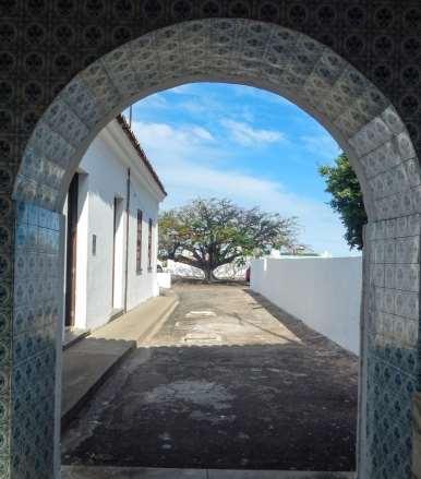 Escritório Bahia Criativa Alexandre Simões