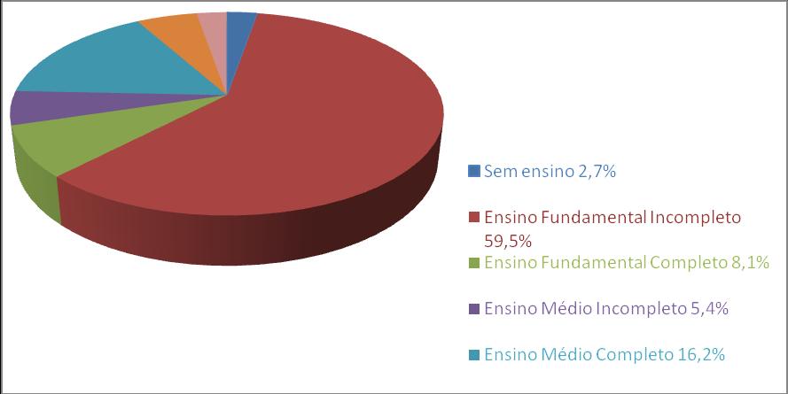 207 completo e 5,4% ensino médio incompleto. Não houve proprietários que possuíam ensino profissionalizante e ensino superior completo ou incompleto.