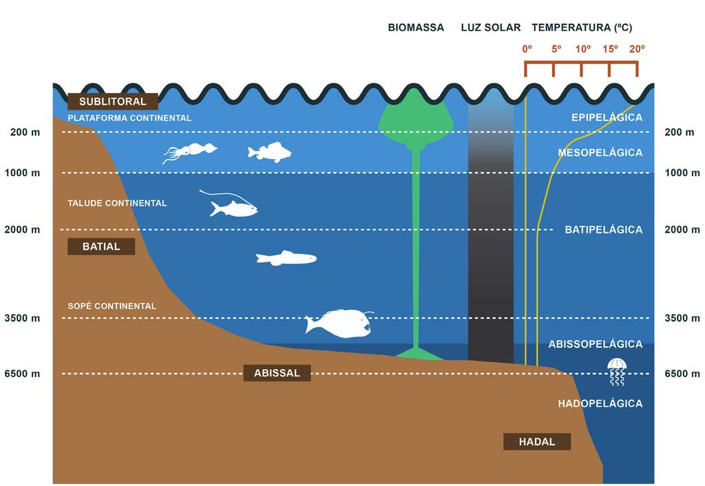 CAPÍTULO 1 - O que é o mar profundo? associado a fossas. A zona hadal não pode ser considerada uma continuação da zona abissal.