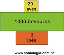 proporcionalmente à quantidade necessária para a dieta