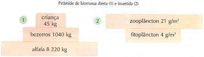 cada nível trófico da cadeia alimentar.