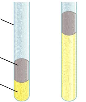 Lei de Charles Relação olume x Temperatura Tubo Capilar 1 /T 1 = /T T (K) = t ( 0 C) + 73.15 Mercúrio Gás Baixa Temperatura Alta Temperatura FONTE: Chang, R. Química Geral, Trad. Rebelo, M.J.F., et.