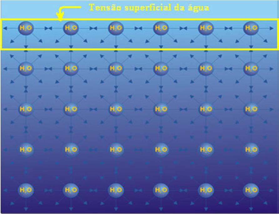 Tensão superficial da água A força de atração das moléculas para dentro da fase líquida na interface ar/água As moléculas são