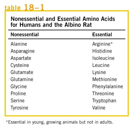 AMINOÁCIDOS ESSENCIAIS E NÃO ESSENCIAIS PARA O HOMEM