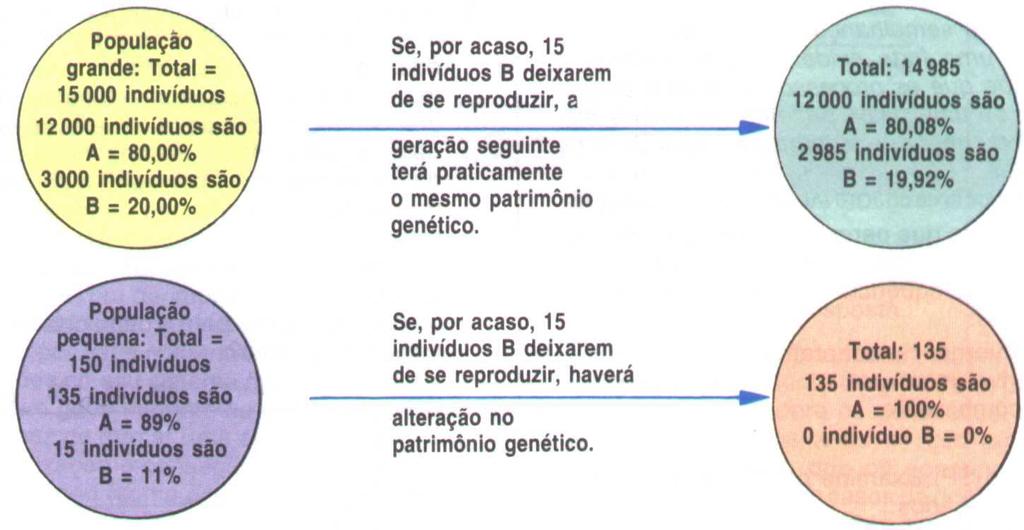 Oscilação