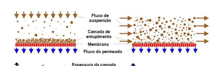 2 Processos