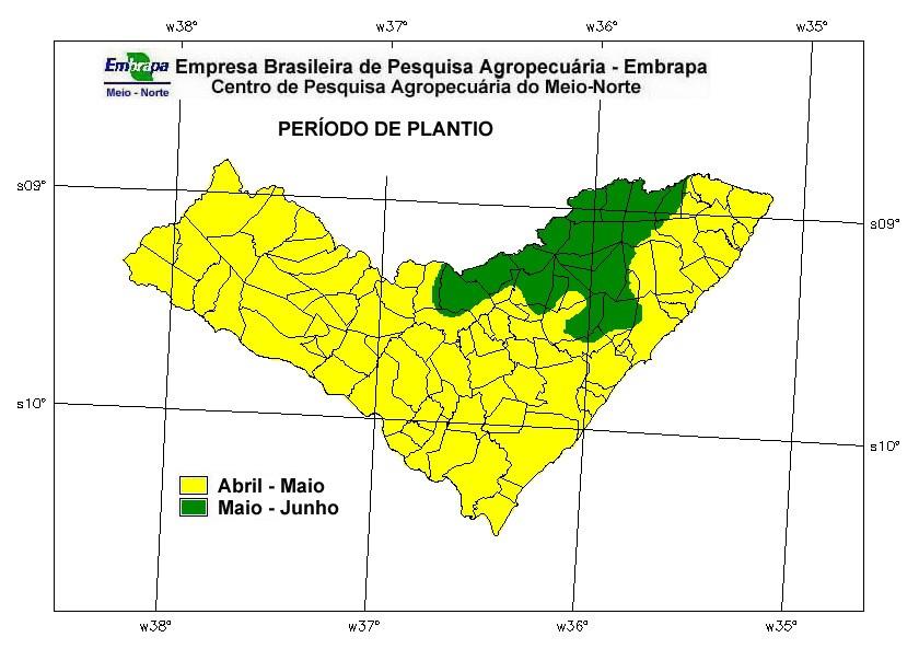 TÁVORA, F. J. A. A cultura da mamona. Fortaleza: EPACE, 1982. 111p. WEISS, E.A. Oil seed crops.