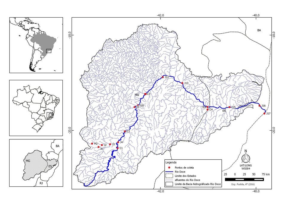 Figura 1: Pontos de amostragem ao o do Rio Doce (setas vermelhas) e em alguns afluentes (setas em azul).