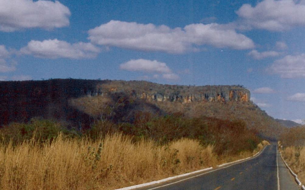 22 Figura 2- Vista da Serra do Jaíba, visando para SSE. Figura 3- Coluna estratigráfica esquemática da região da Serra do Jaíba. Espessura aproximada 300 m.