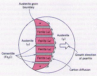 A reação eutetóide do sistema Fe-C envolve a formação simultânea de ferrita e cementita a partir da austenita com composição eutetóide, conforme ilustra a Figura 3.8.