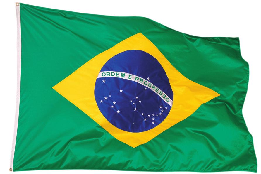 10 SAIBA MAIS e-tec Brasil Tópicos em Educação a Distância E no Brasil, quando surgiu a EAD?