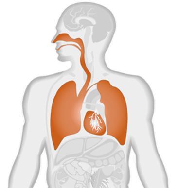 Quais são as típicas doenças ocupacionais? Especialmente o pulmão e outros órgãos que possibilitam a respiração humana que podem ser afetados.
