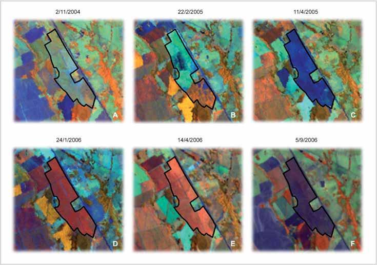 Geotecnologias 81 Figura 1 - Composições coloridas falsa cor RGB 453 das imagens do Landsat 5 em uma área de expansão de cana no