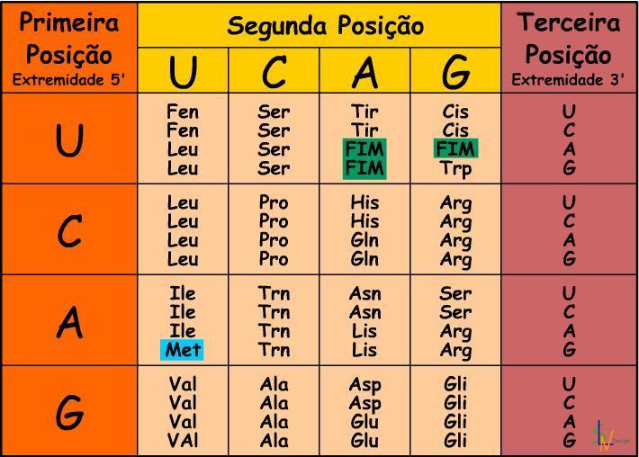 O CÓDIGO GENÉTICO É