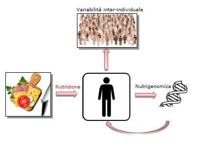 Variabilidade