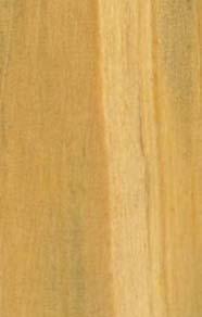 Voltar MADEIRA arqutetura e engenhara nº 1 artgo 8 Proposta para o dmensonamento de vgas compostas de madera macça lgadas contnuamente por pregos Jorge Luís Nunes de Góes, Unversdade de São Paulo,