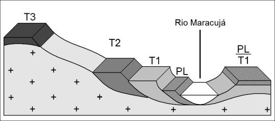 sendo três níveis de terraços e um nível de planície. Esses níveis serão descritos a seguir do nível de terraço mais antigo (T3) para o mais recente (Planície de inundação). A Fig.