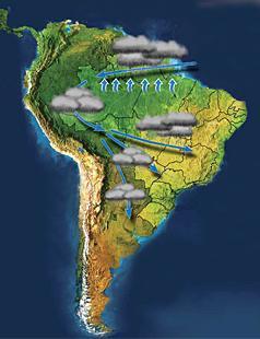 A partir da leitura do texto e da observação do mapa, é correto afirmar que, no Brasil, a) cada vez mais, a floresta é substituída por agricultura ou pastagem, procedimento que promove o