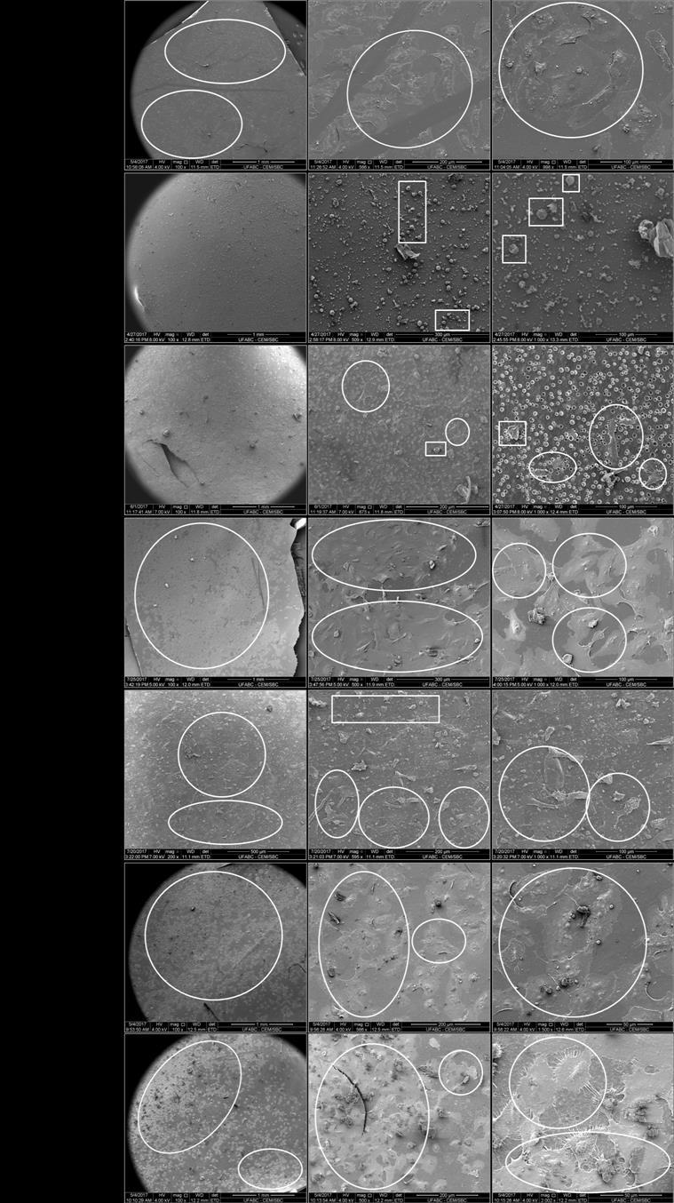 Figura 2: Micrografias de MEV da superfície das diferentes amostras estudadas para adesão celular.