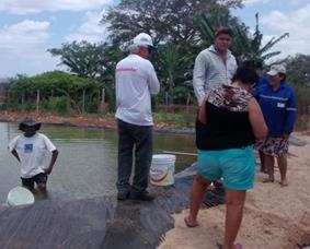 atividades que poderão ser desenvolvidas pelas famílias, além de contribuir para a conservação ambiental de dois importantes recursos naturais: o solo e a água.