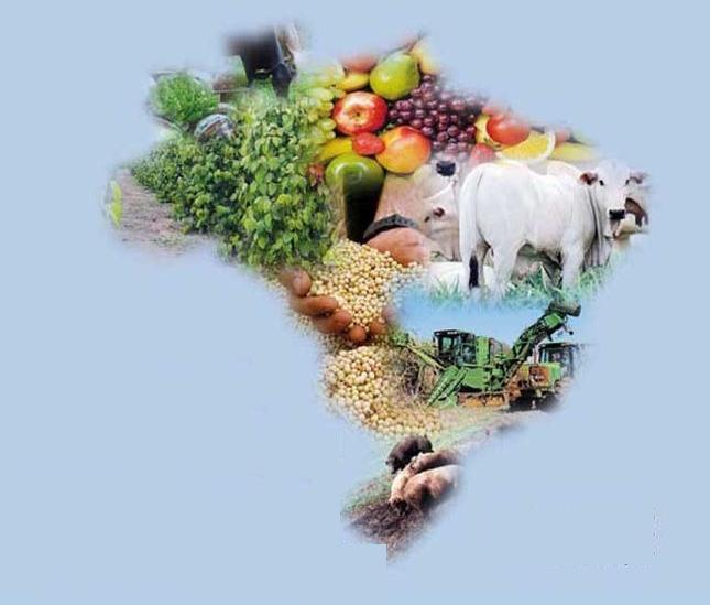 Cenário Agropecuário do Brasil -1/3 das PIB são oriundas do setor agropecuário 40 % das exportações