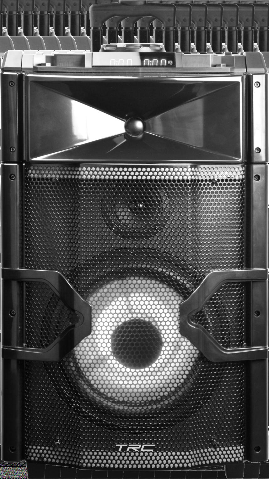 TRC DJ3000 CAIXA DE SOM AMPLIFICADA 300W COM FUNÇÃO DJ Manual de