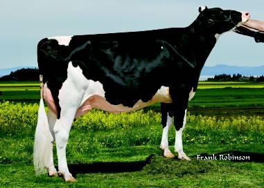 200HO5567 SEAVER R-E-W Seaver-ET Goldwyn